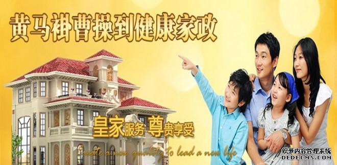 黄马褂曹操到家政